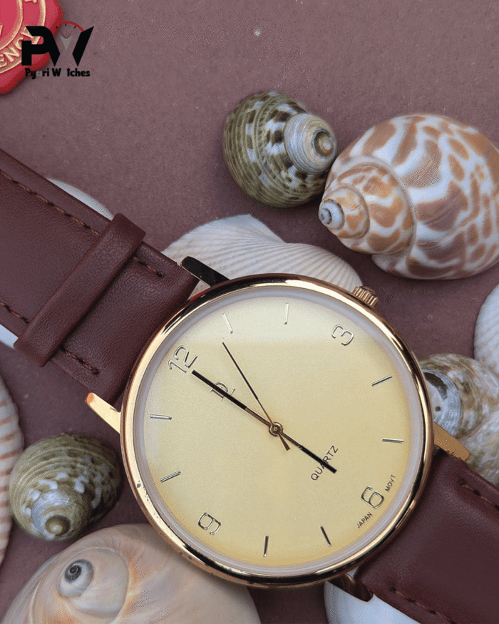 Brown watch 4 Brown Leather Men's Watch with Gold Dial